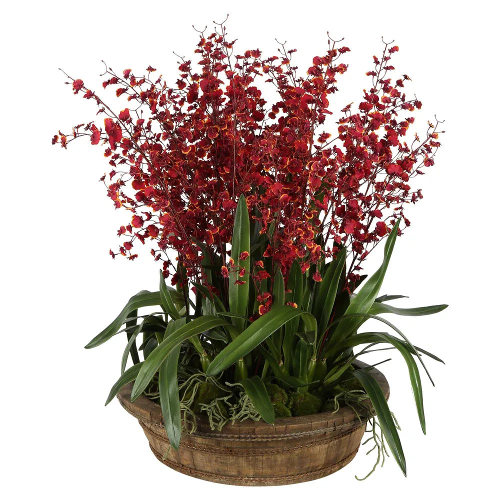 Red Dancing Orchid Cluster