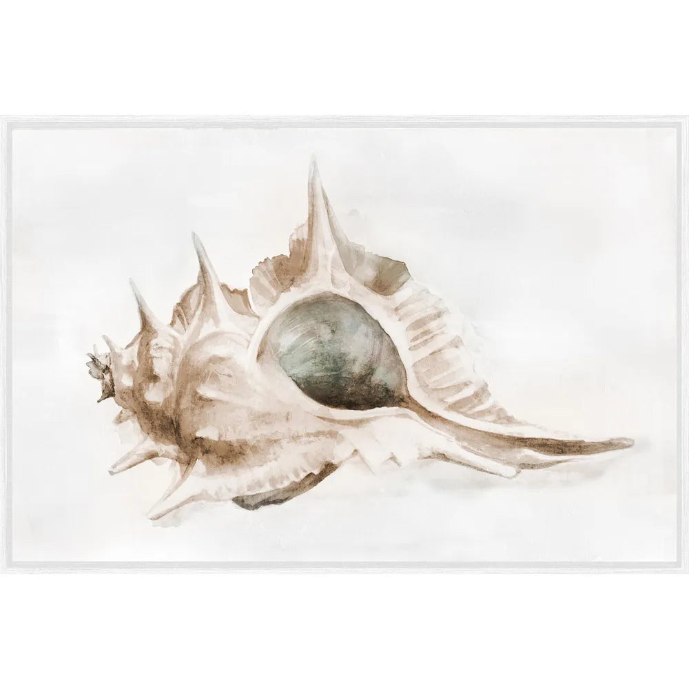 Conch Shell Wall Art