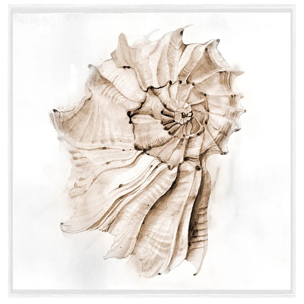 Sand Shell Wall Art