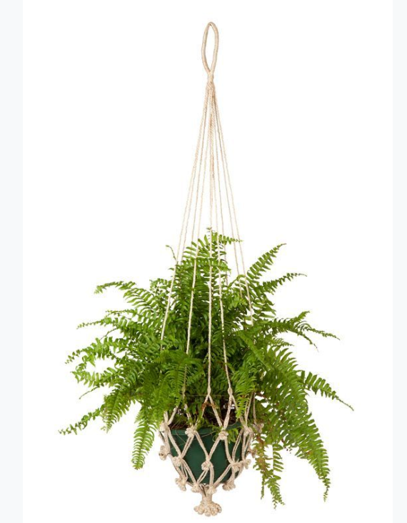 Vibe Macrame Plant/Pot Holders (Set of 4)