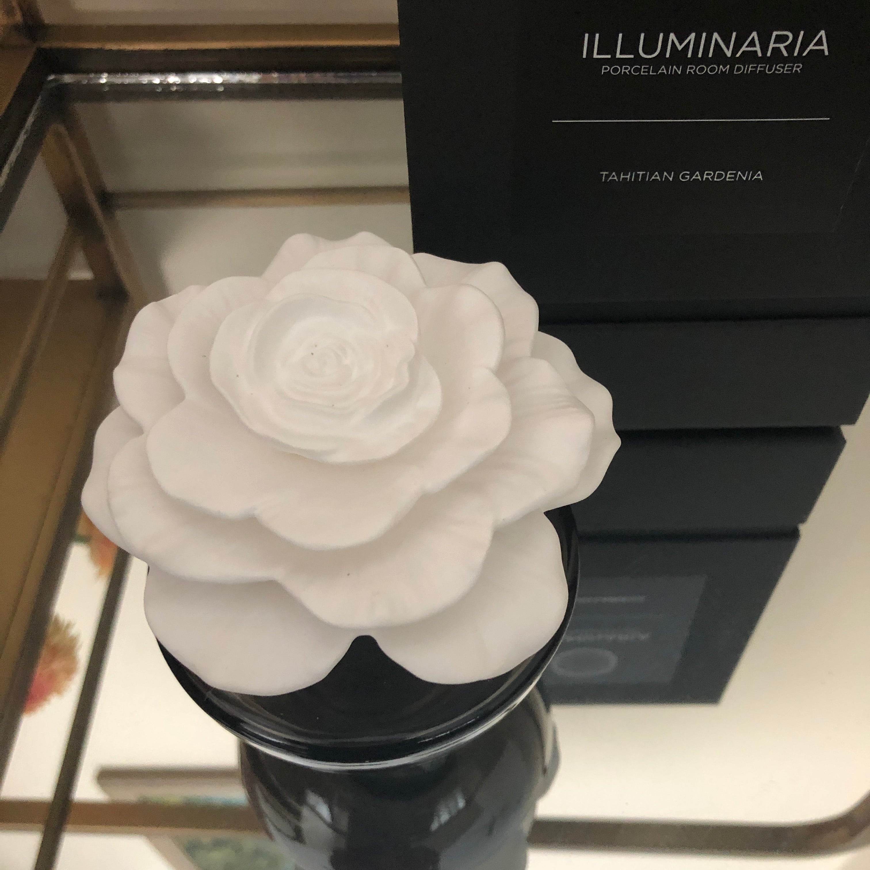 Illuminaria Porcelain Diffuser - Tahitian Gardenia