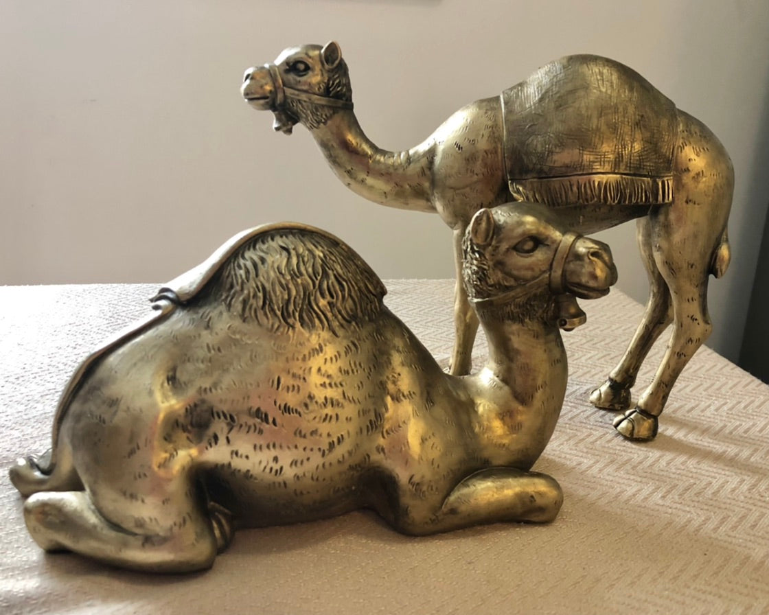 Cairo Sitting Camel