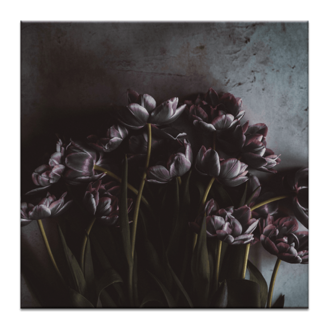 15 Stems Art Work