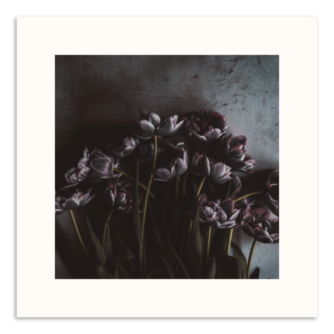15 Stems Art Work
