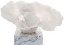 Mossman Decorator Coral