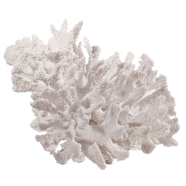 Coral Classic in White