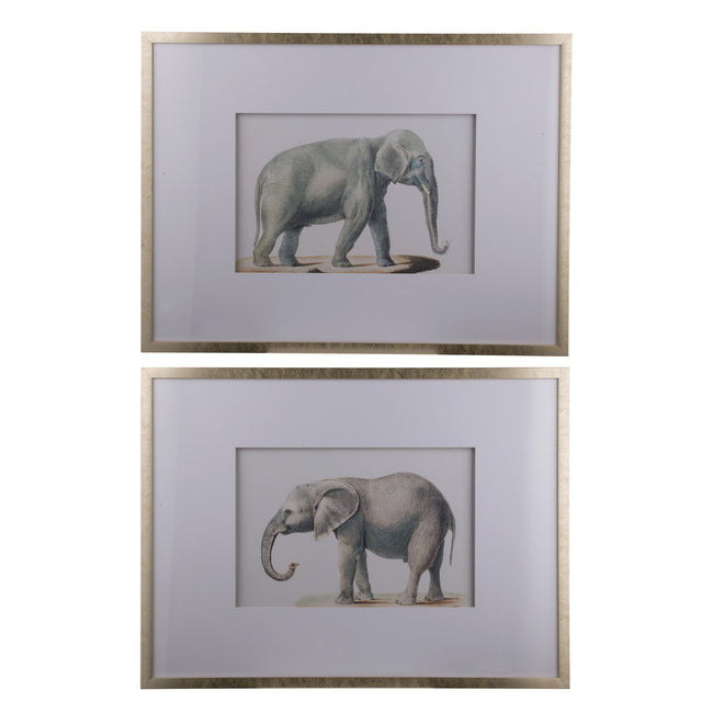 Elephant Print - Pair
