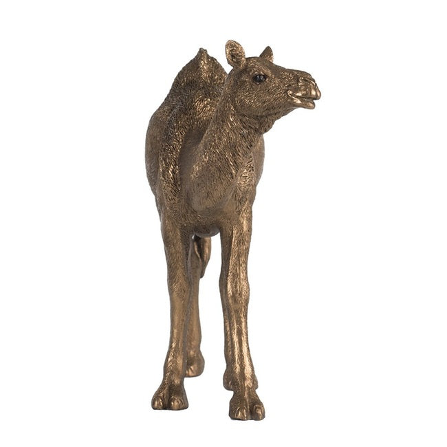 Cairo Standing Camel