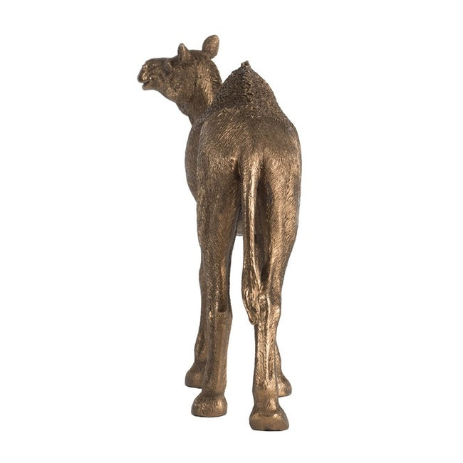 Cairo Standing Camel