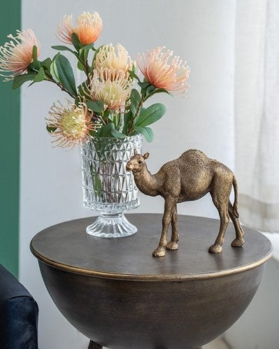 Cairo Standing Camel