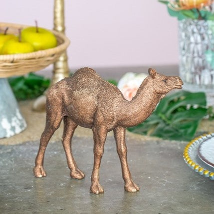 Cairo Standing Camel