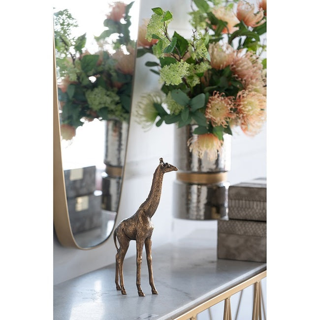 Giraffe Decor