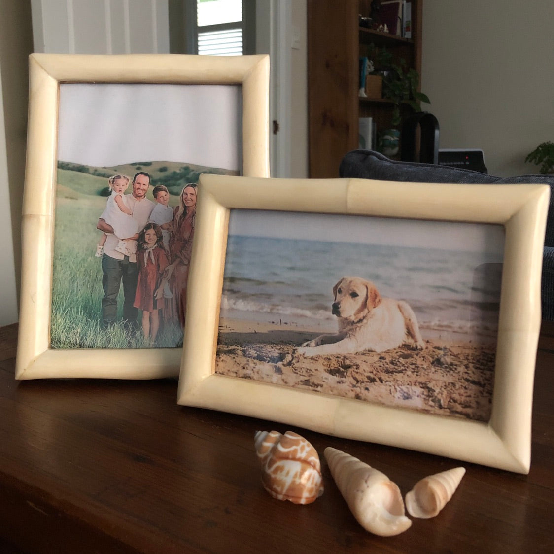 Chiffon Bone Picture Frame