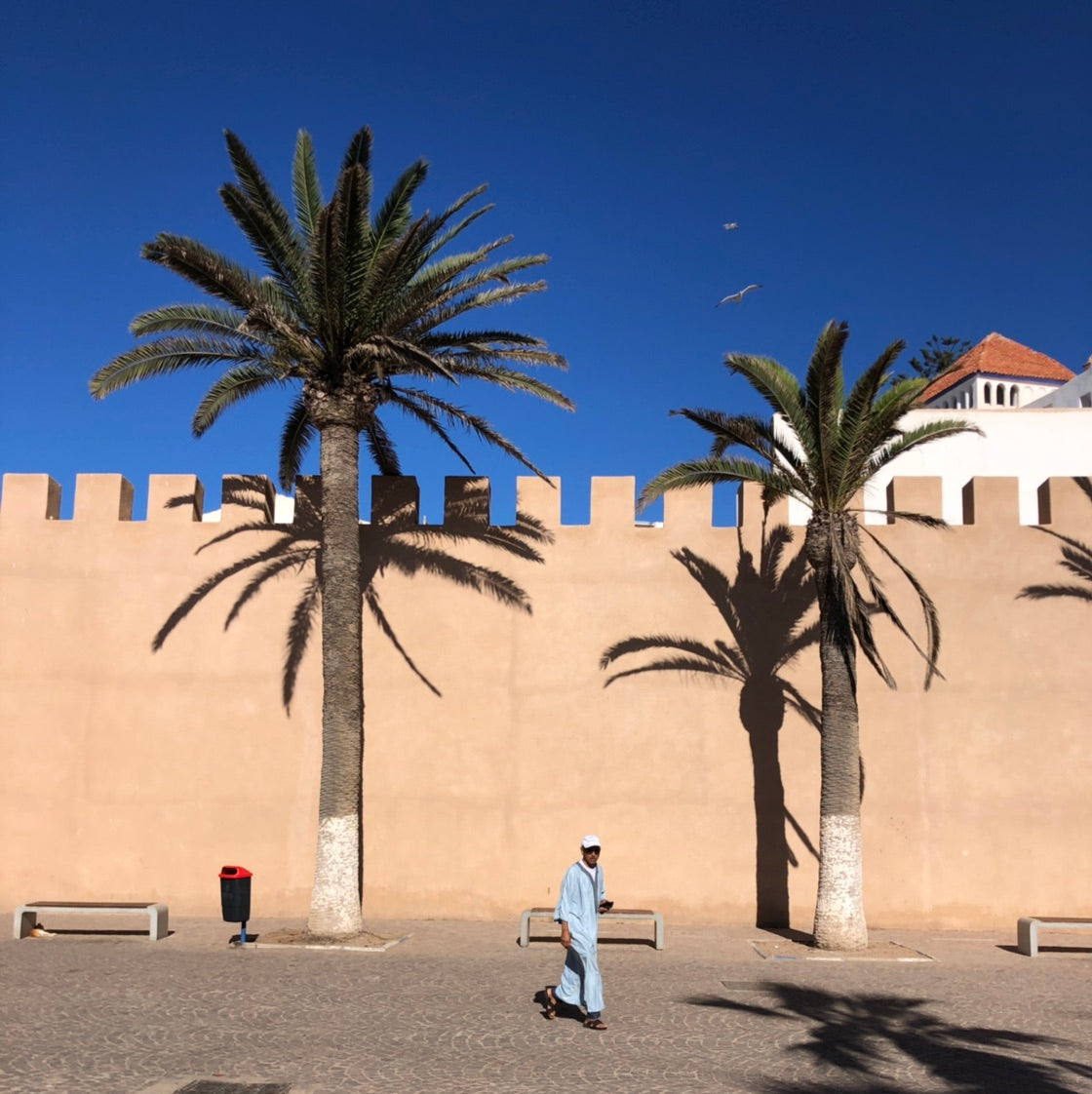 2023 Inaugural Escorted Tour of Morocco