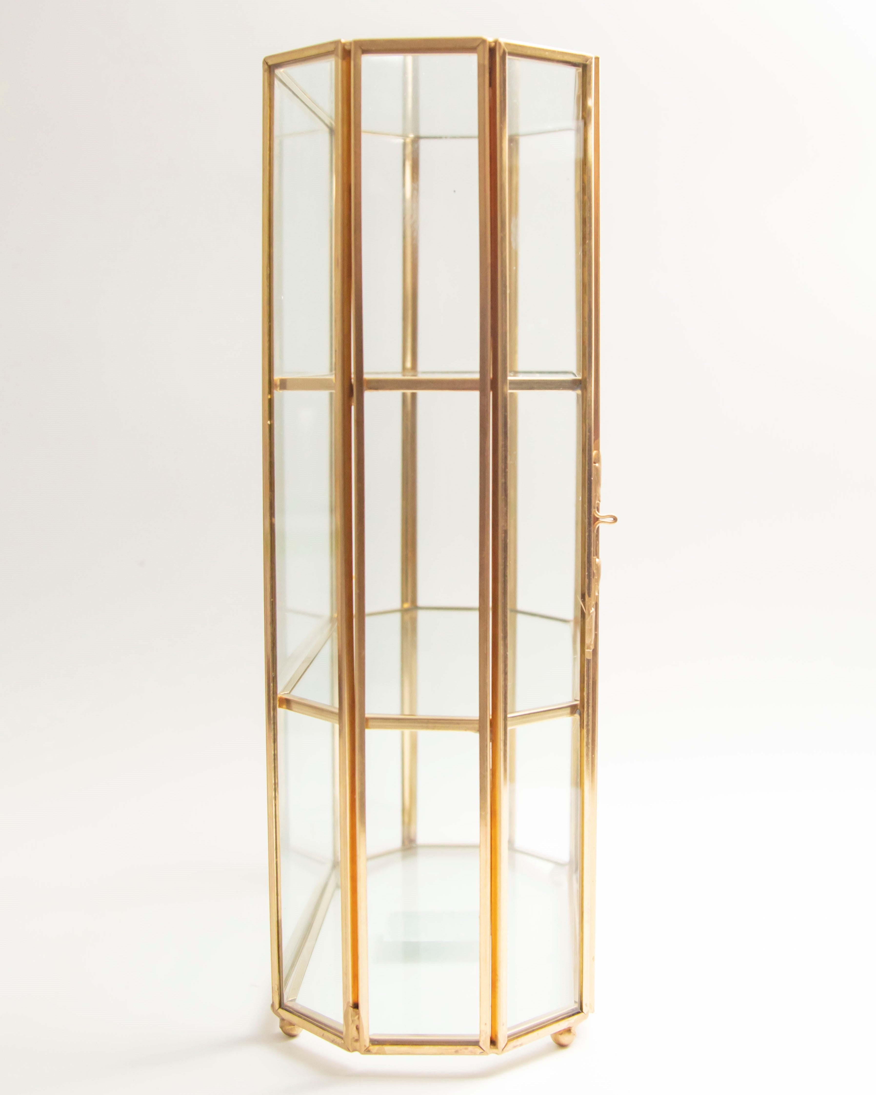 Brass & Glass Display Case
