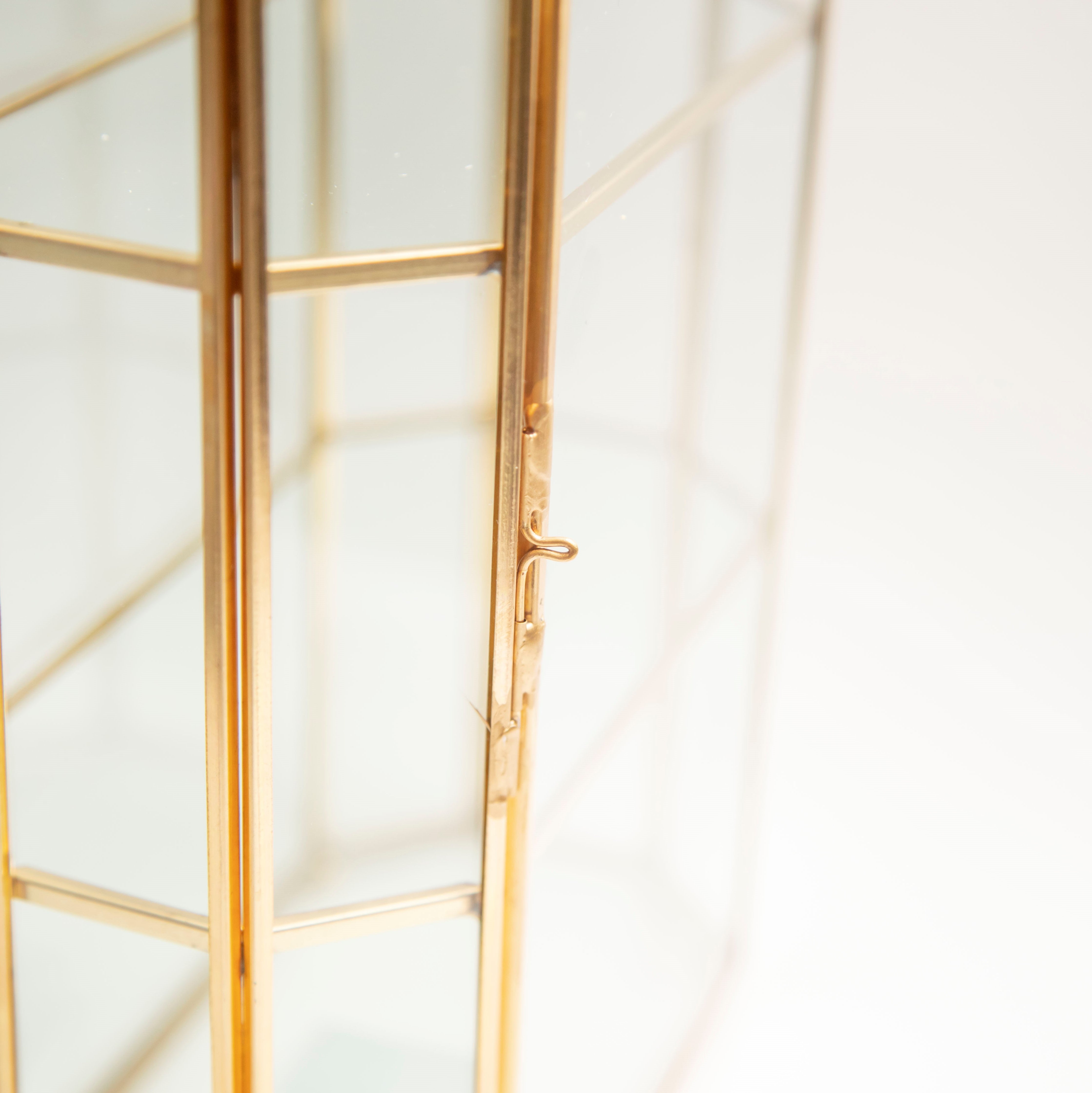 Brass & Glass Display Case
