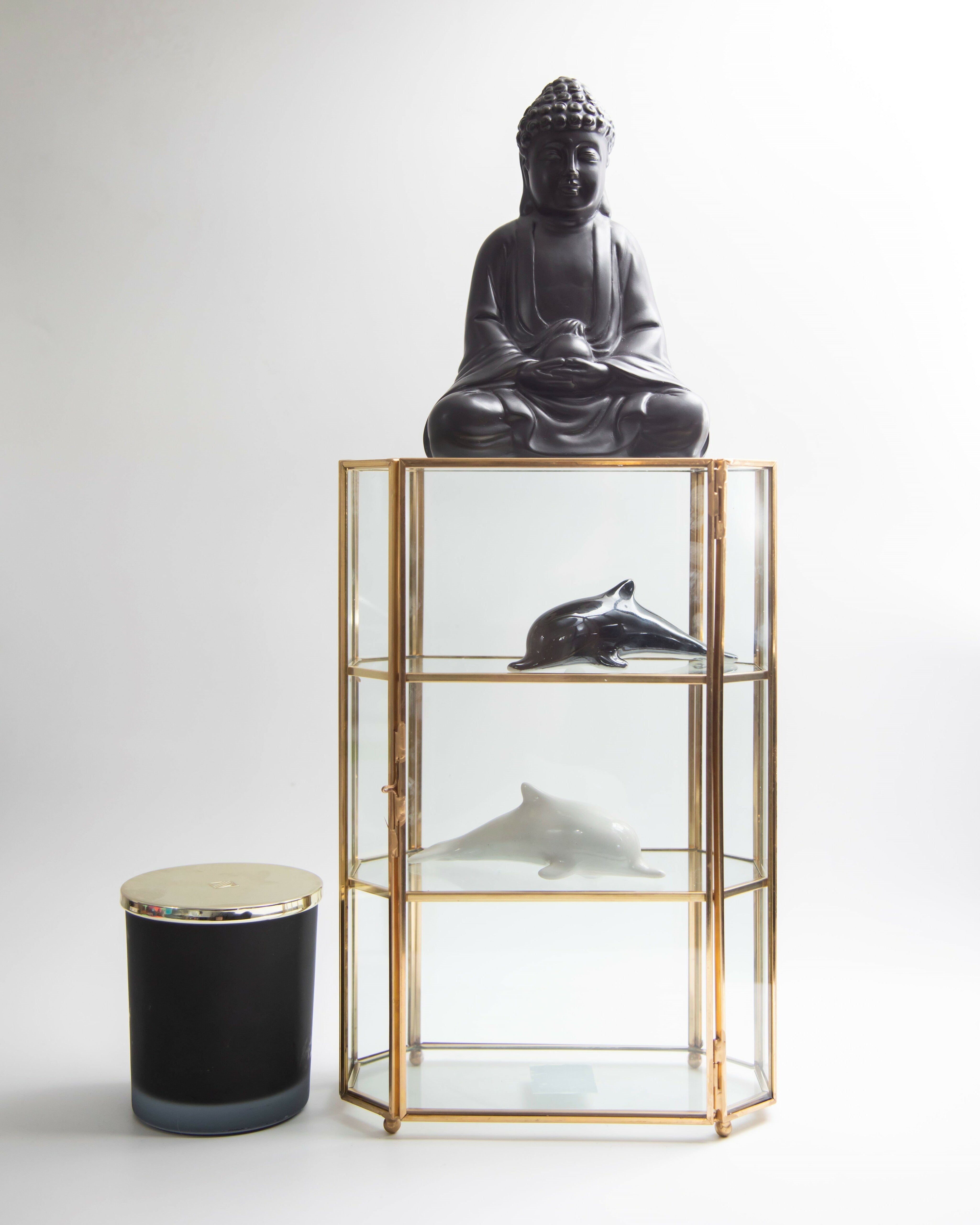 Brass & Glass Display Case