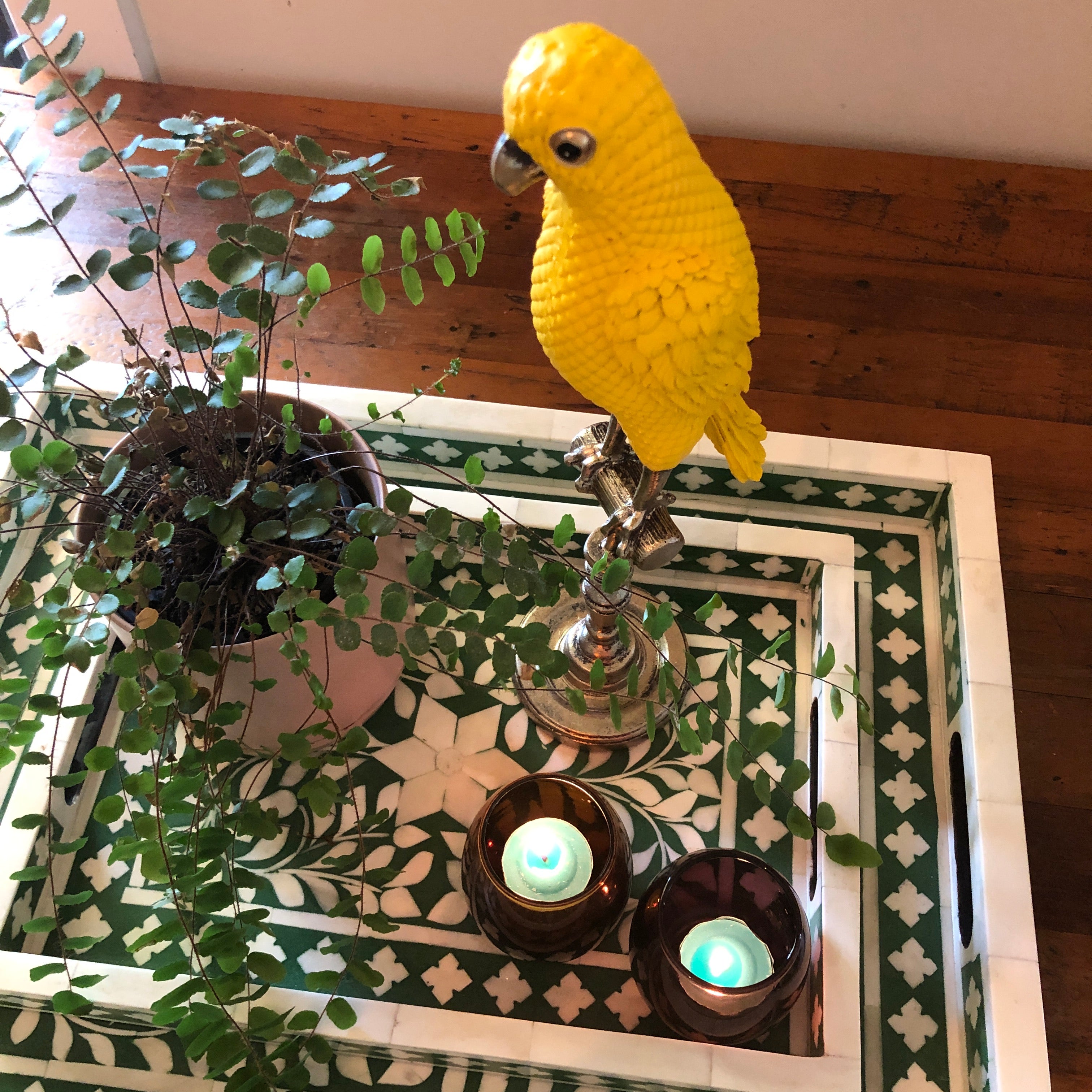 Ornamental Emperor Parrot in Sunny Yellow