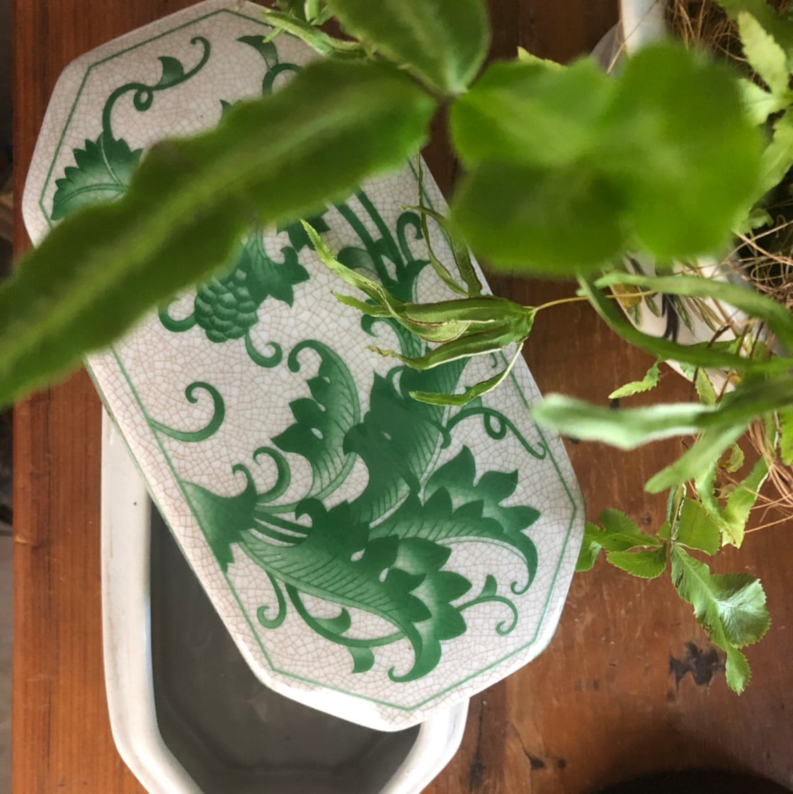 Fiore Porcelain Trinket Box