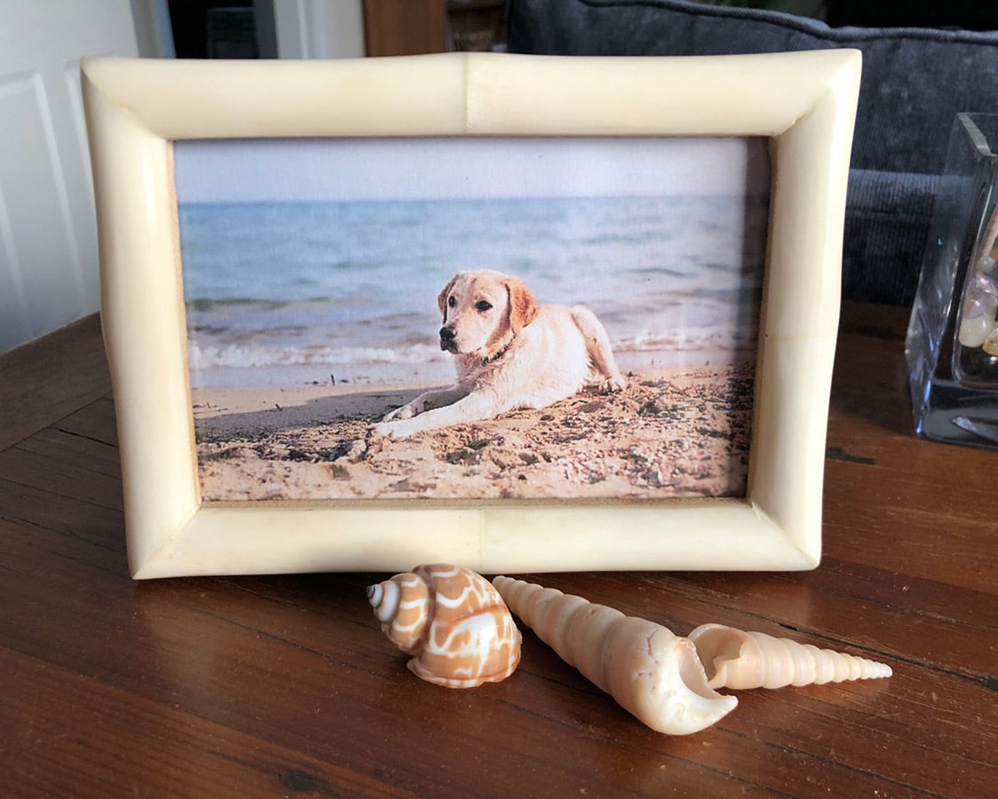 Chiffon Bone Picture Frame