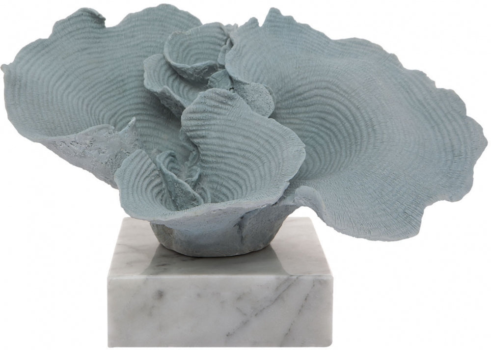Mossman Decorator Coral