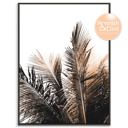Palm Top