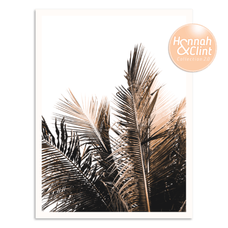 Palm Top