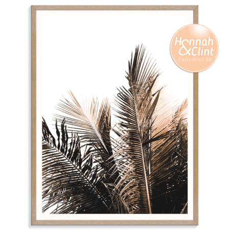 Palm Top