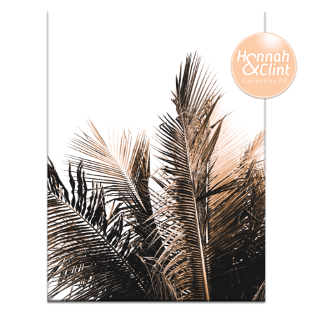 Palm Top