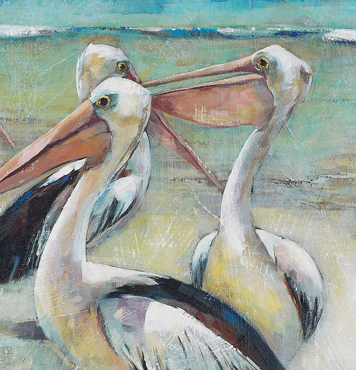 Pelicans at Narrabeen