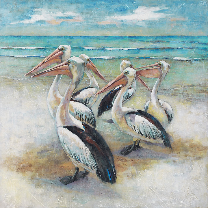 Pelicans at Narrabeen