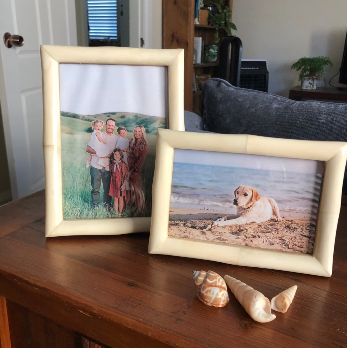 Chiffon Bone Picture Frame