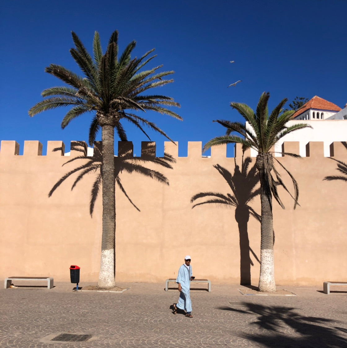 2023 Inaugural Escorted Tour of Morocco
