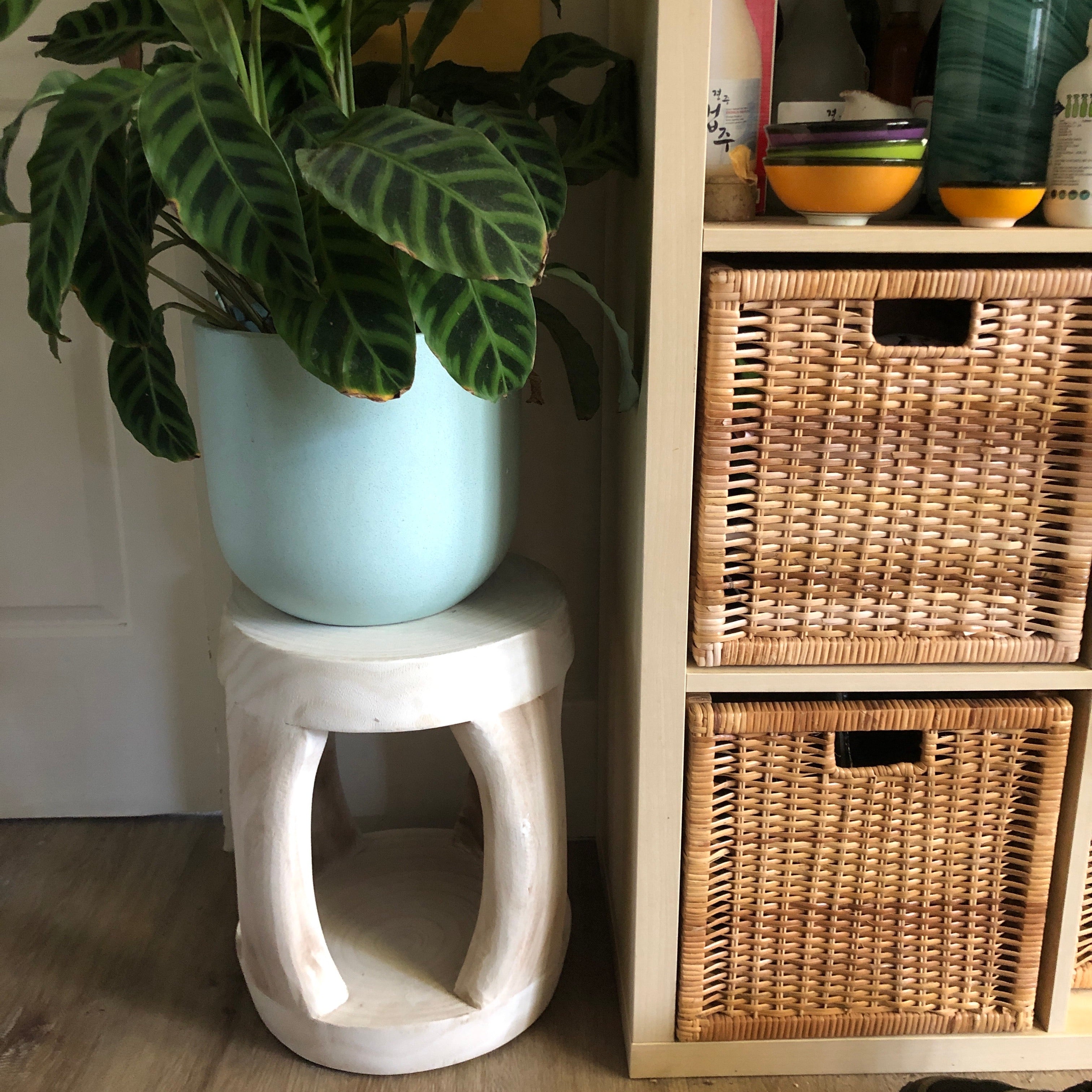 Paulownia Burleigh  Stool