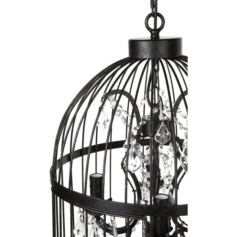 Macaw Chandelier