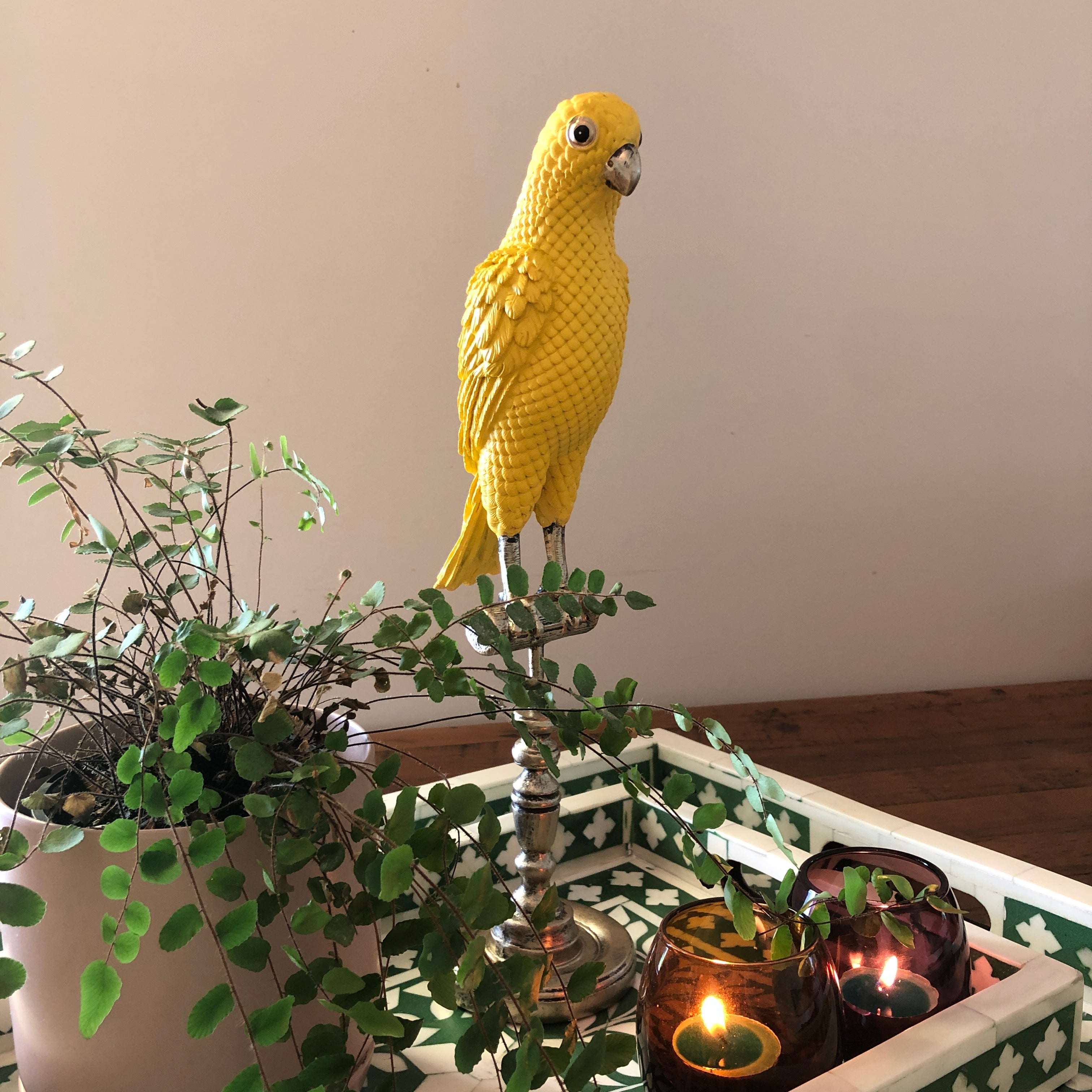 Ornamental Emperor Parrot in Sunny Yellow