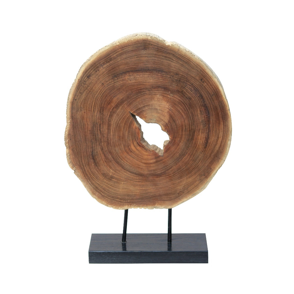 Rustic Teak Tree Slice on Stand