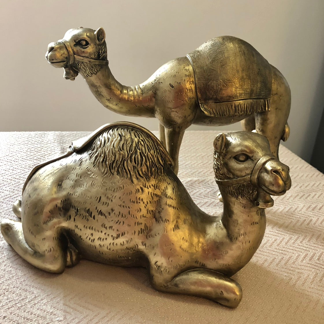 Cairo Sitting Camel