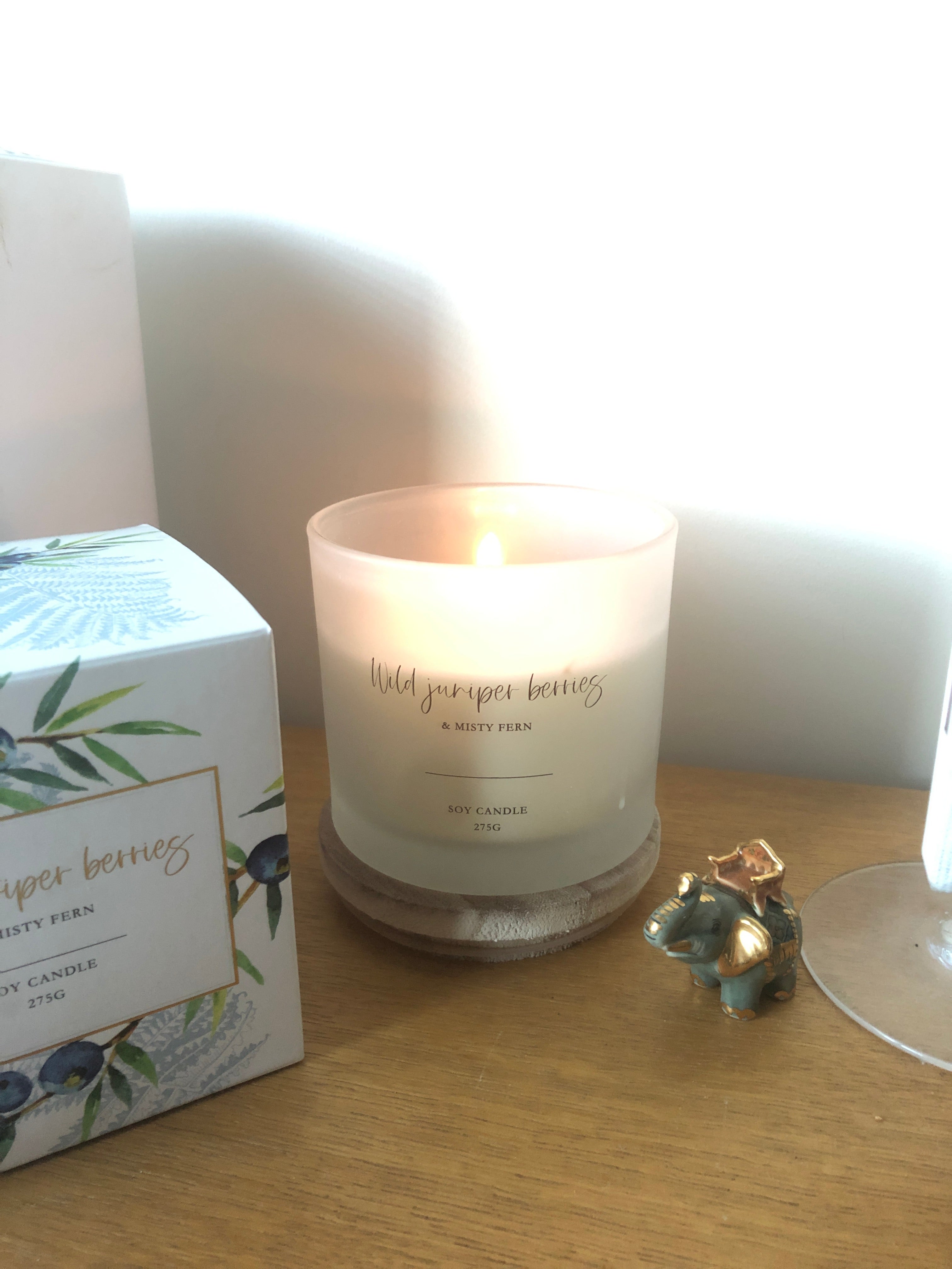 Soy Candle (275g) - Wild Juniper Berry