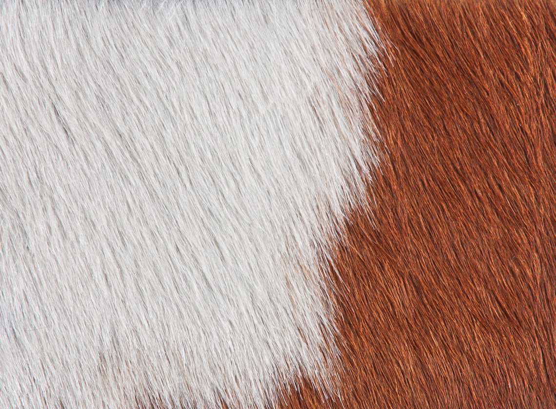 Brown & White Natural Cow Hide Rug
