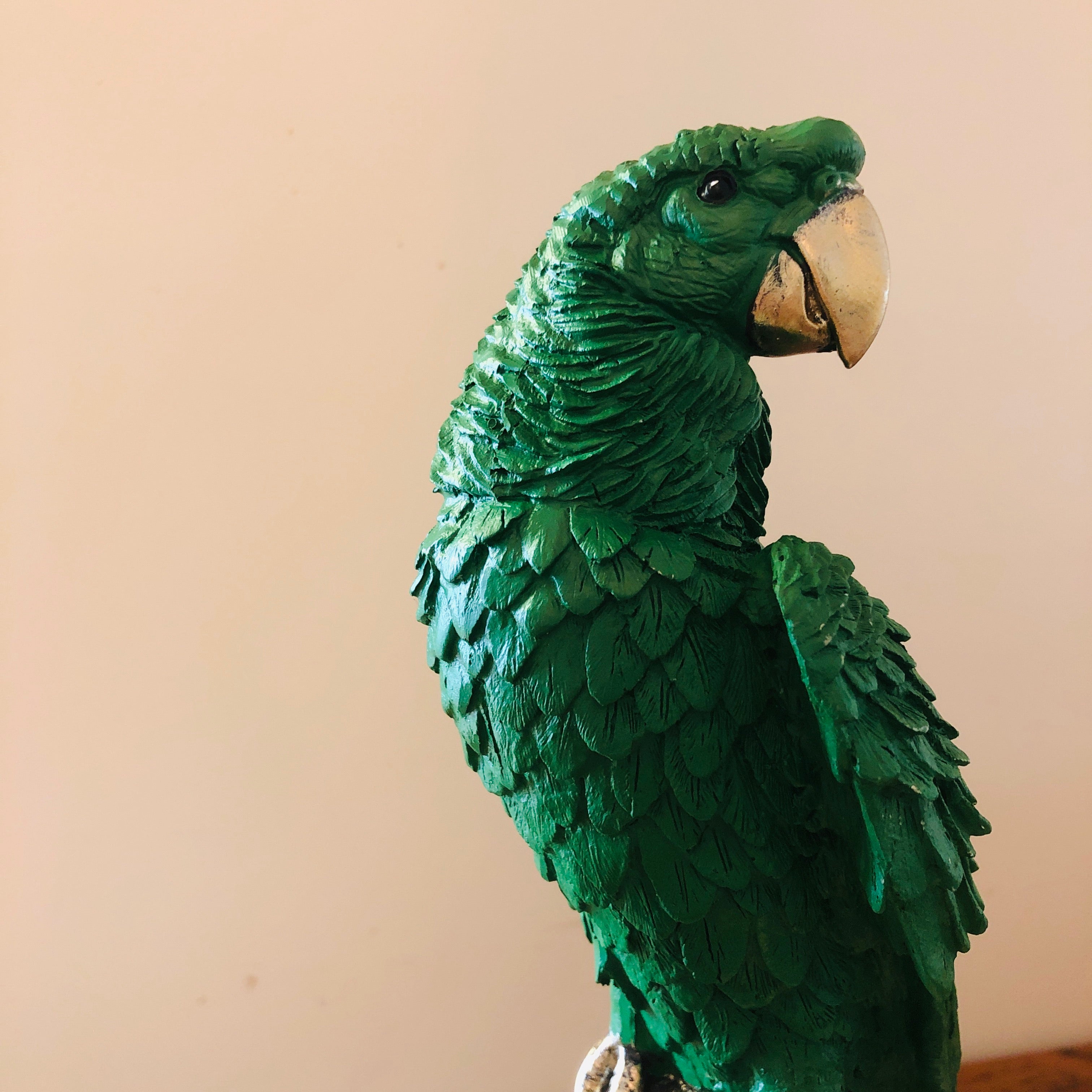 Parrot on Stand in Green
