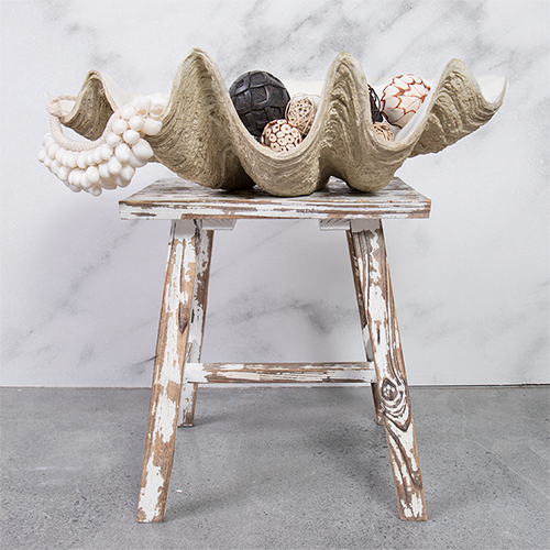 Clam Shell - Natural Look