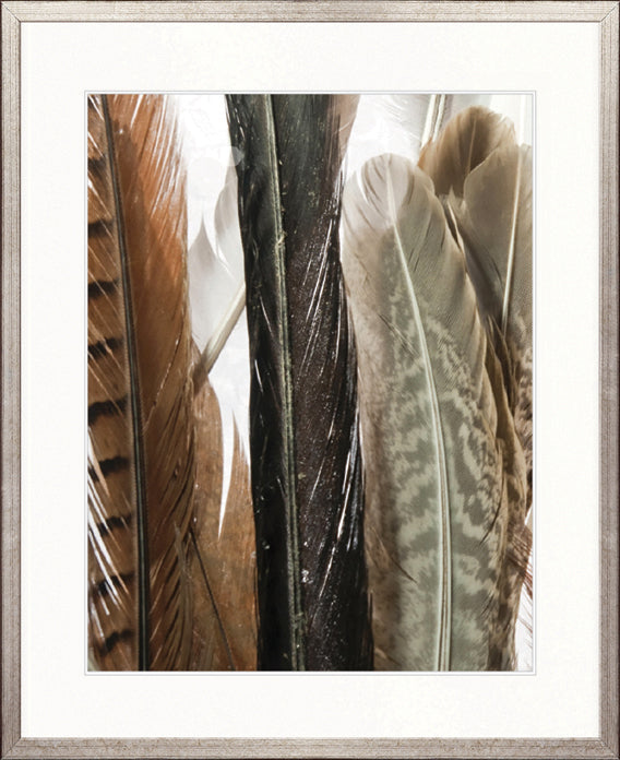 Simple Feather I by Designer Boys