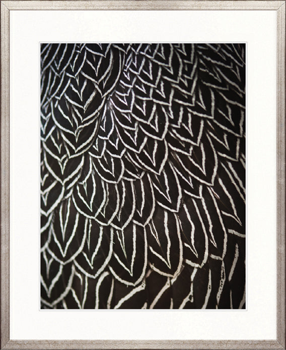 Simple Feather II by Designer Boys