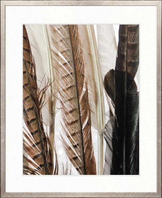 Simple Feather III by Designer Boys