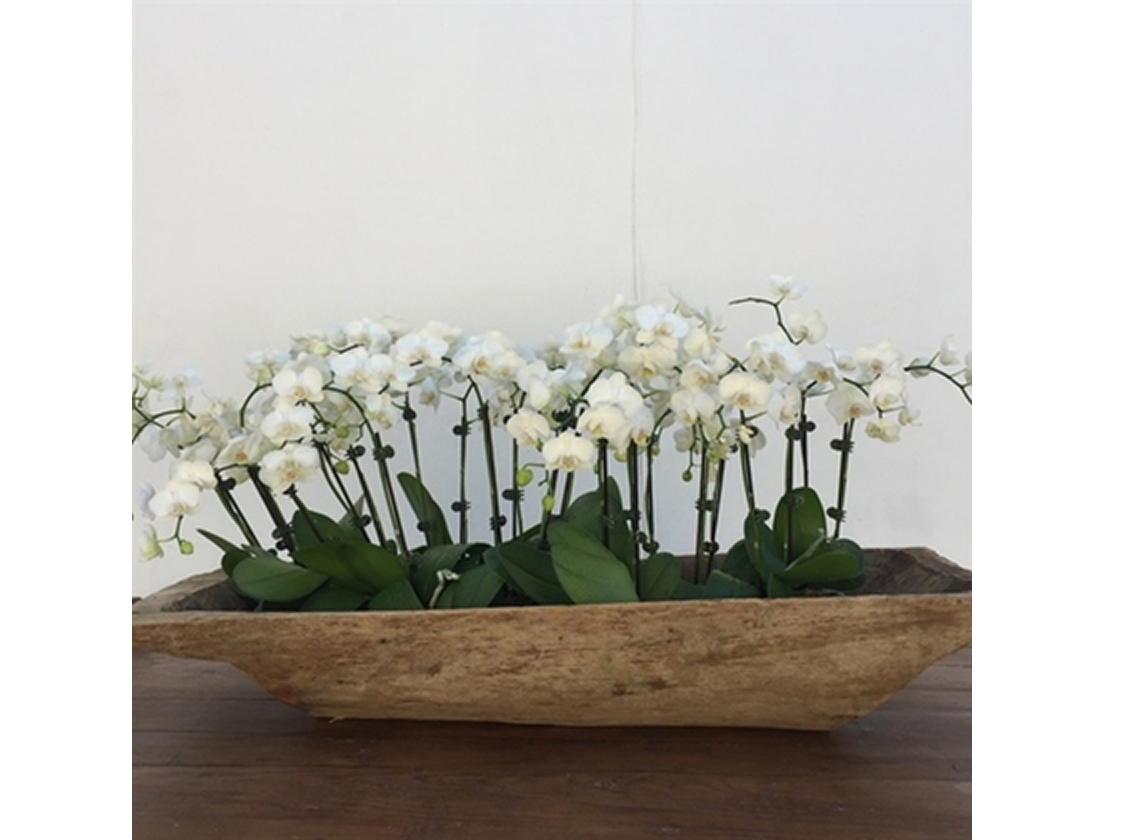 Ataturk Dough Bowl