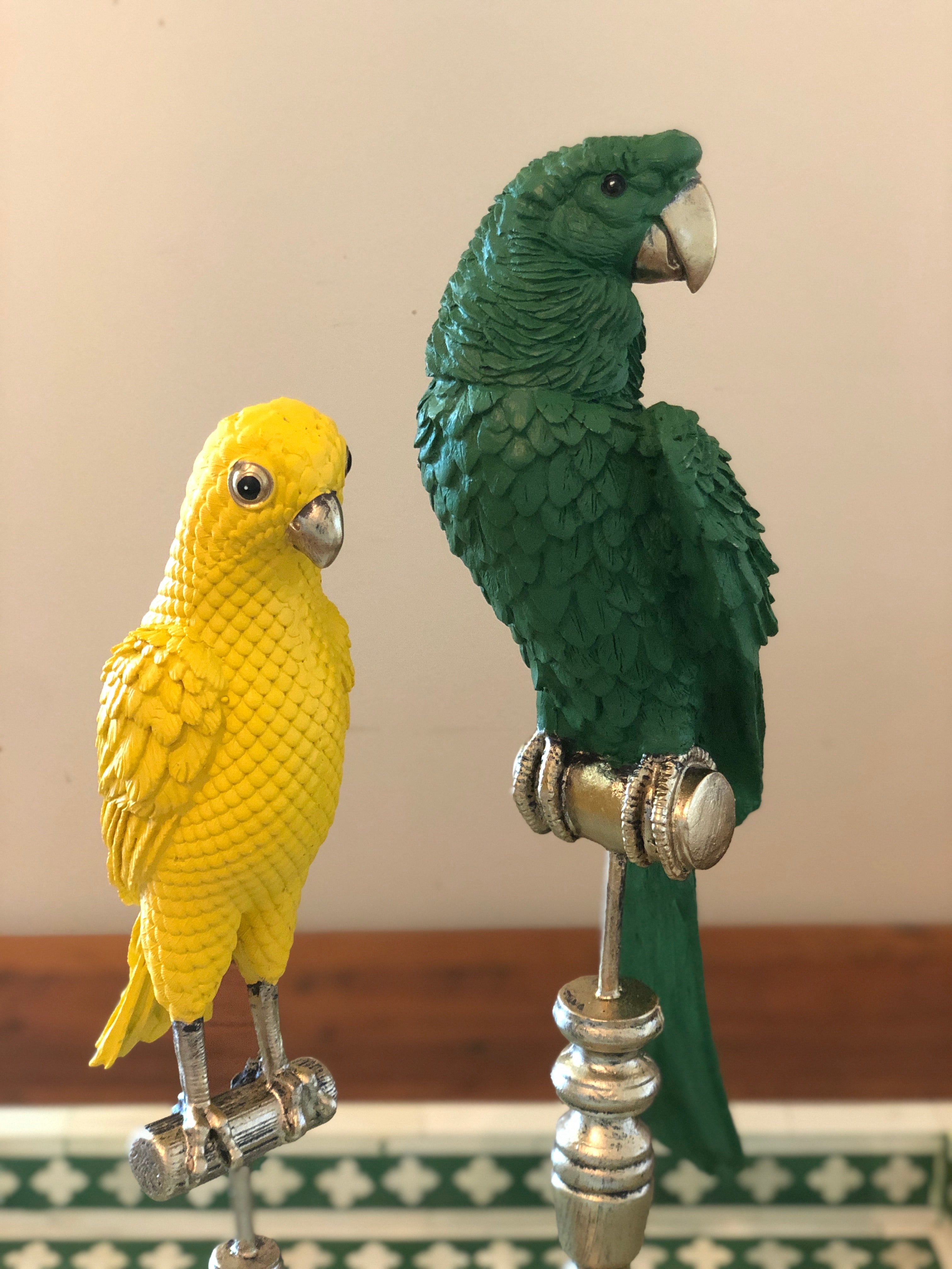 Ornamental Emperor Parrot in Sunny Yellow