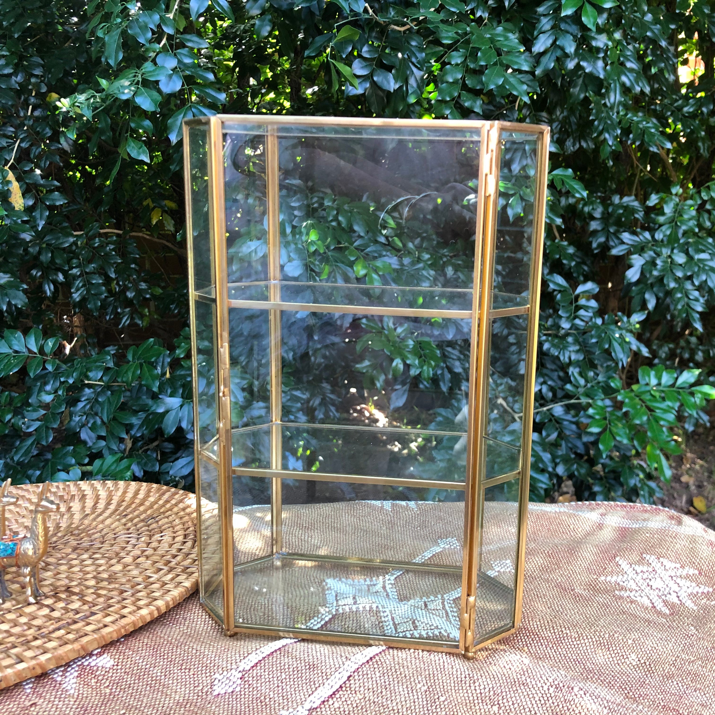 Brass & Glass Display Case