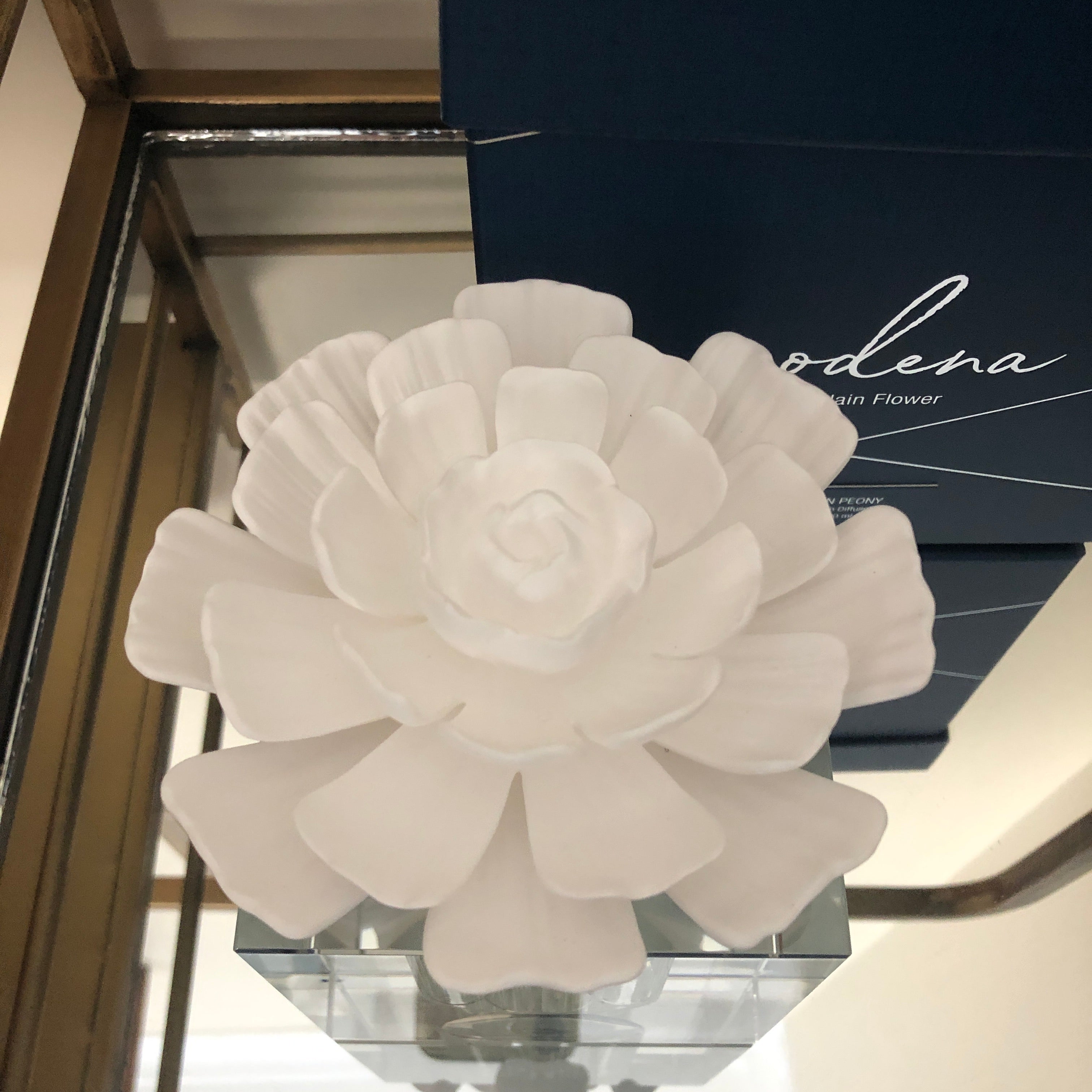 Modena Large Crystal Gift Set - White Rose