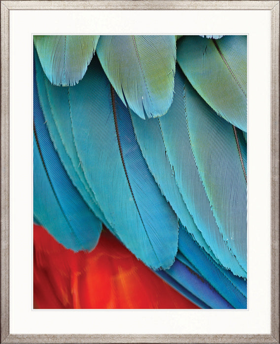 Exotic Feather VI by Designer Boys
